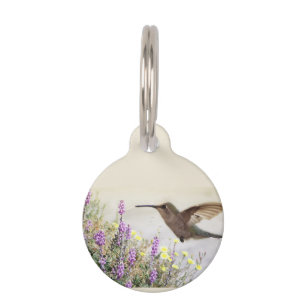 Placa Para Mascotas Hummingbird y Wildflowers Digital Ar