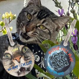 Placa Para Mascotas Humor de gato de perro divertido detalles personal