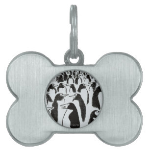 Placa Para Mascotas Hurto de identidad