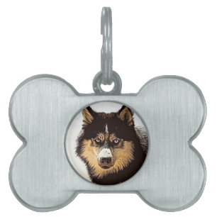Placa Para Mascotas Husky siberiano