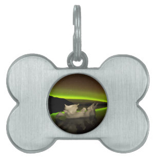 Placa Para Mascotas Iceberg Aurora