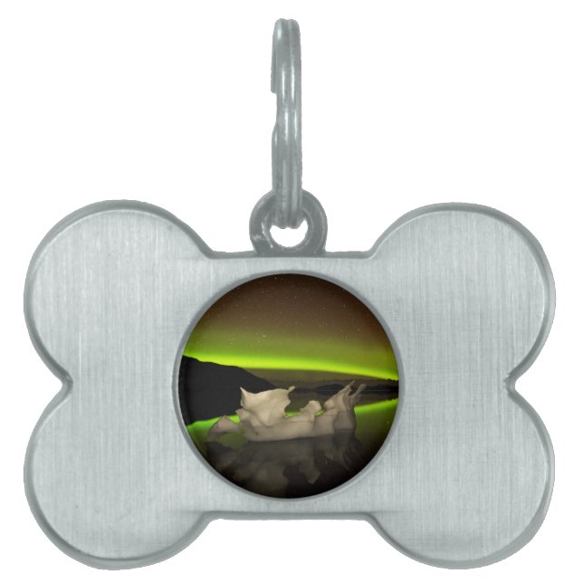 Placa Para Mascotas Iceberg Aurora (Frente)