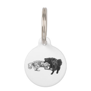 Placa Para Mascotas Identidad manchada, dúo cómico