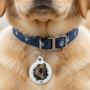 Placa Para Mascotas Identificación de mascota de dinosaurio Tyrannosau