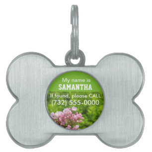 Placa Para Mascotas Identificación de Mascota Nombre Número Etiquetas 