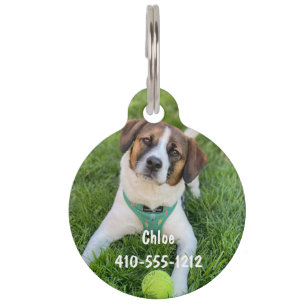 Placa Para Mascotas Identificación personalizada con foto para perro o