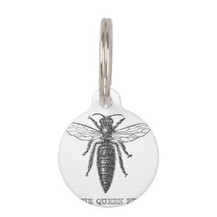 Placa Para Mascotas Ilustración antigua de insecto bug abeja reina