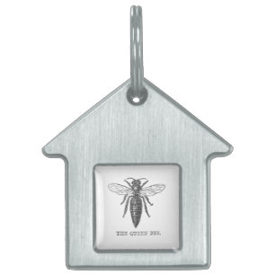 Placa Para Mascotas Ilustración antigua de insecto bug abeja reina