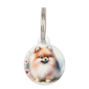 Placa Para Mascotas Ilustracion cutáneo de pomerania