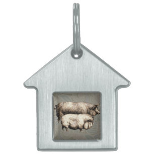 Placa Para Mascotas Ilustracion de arte antiguo de la granja de cerdos