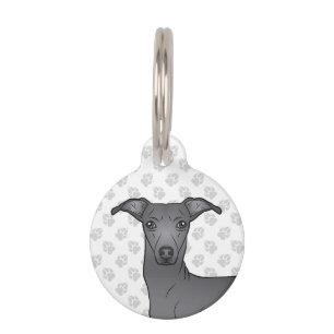 Placa Para Mascotas Ilustración de cabeza de perro gris italiano azul 