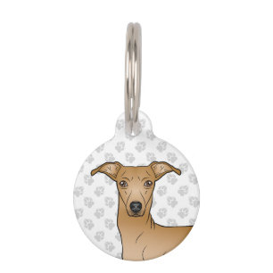 Placa Para Mascotas Ilustración de la cabeza de un perro adorable de r