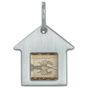 Placa Para Mascotas Ilustracion de langosta Antique Maine