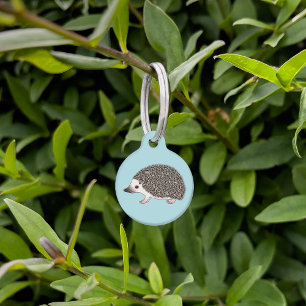 Placa Para Mascotas Ilustracion de Personalizado de Cute de Hedgehog, 