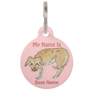Placa Para Mascotas imagen de un perro de raza mixta escrupuloso