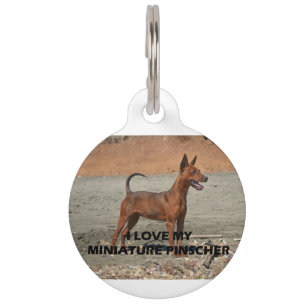 Placa Para Mascotas imagen llena roja del amor w del perno mínimo