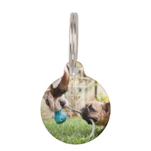 Placa Para Mascotas Imagen personalizada de su Mascota