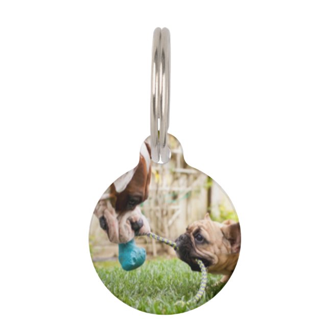 Placa Para Mascotas Imagen personalizada de su Mascota con imagen reco (Anverso)