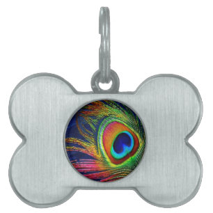Placa Para Mascotas Impresión de plumas de pavo real coloridas