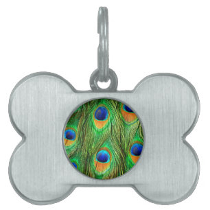 Placa Para Mascotas Impresión de plumas de pavo real coloridas