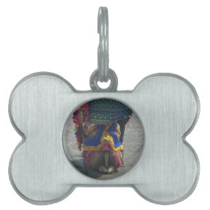 Placa Para Mascotas Impresión/gráfico de arte capilar caprichoso