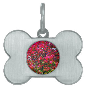 Placa Para Mascotas Impresionista rosa otoño deja árboles