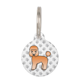Placa Para Mascotas Información de juguete de caniche de dibujos anima