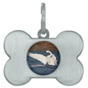 Placa Para Mascotas Intercambio de Flapping