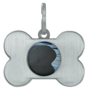 Placa Para Mascotas Irrawaddy Dolphin Peek-A-Boo