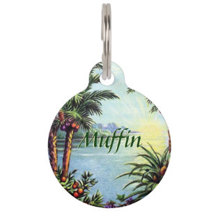 Placa Para Mascotas Isla del vintage