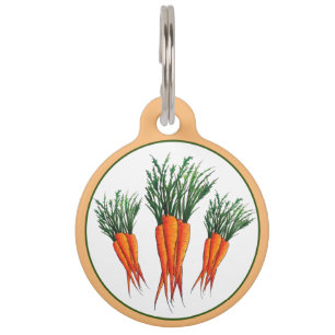 Placa Para Mascotas Jardín de verduras de Naranja de zanjas