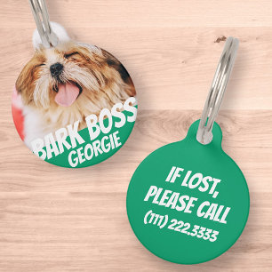 Placa Para Mascotas Jefe de corteza Mascota de perro foto moderna Guay