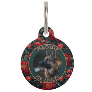 Placa Para Mascotas Kit de regalo personalizado para dueño de gatito P