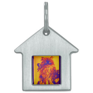 Placa Para Mascotas KITTEN CON ROSAS, azul, amarillo Naranja