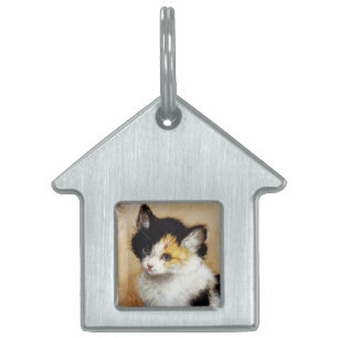 Placa Para Mascotas KITTENS Despertando