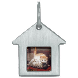 Placa Para Mascotas KITTENS Despertando