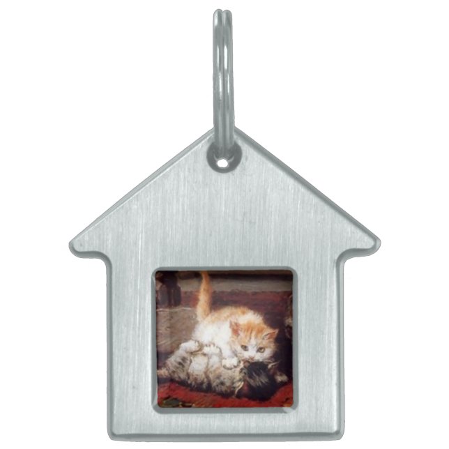 Placa Para Mascotas KITTENS Despertando (Frente)