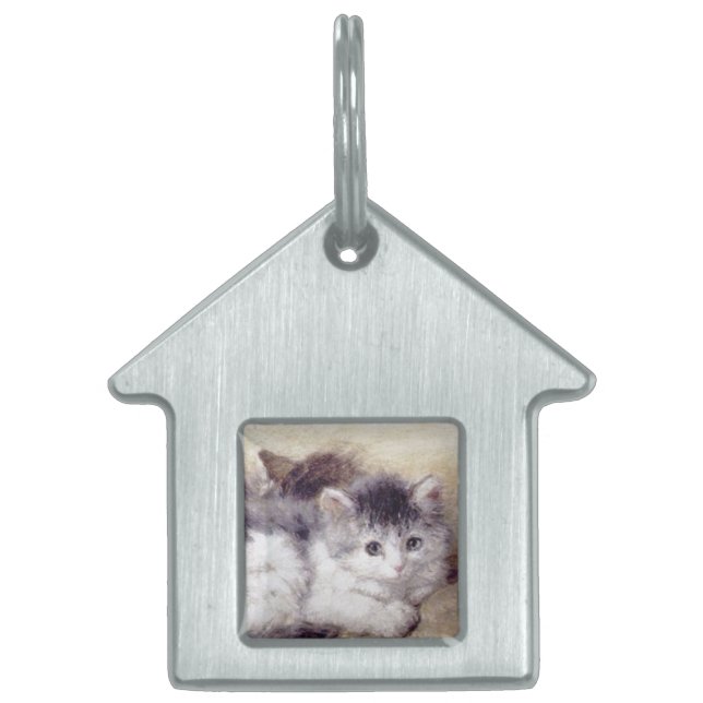 Placa Para Mascotas KITTENS Despertando (Frente)
