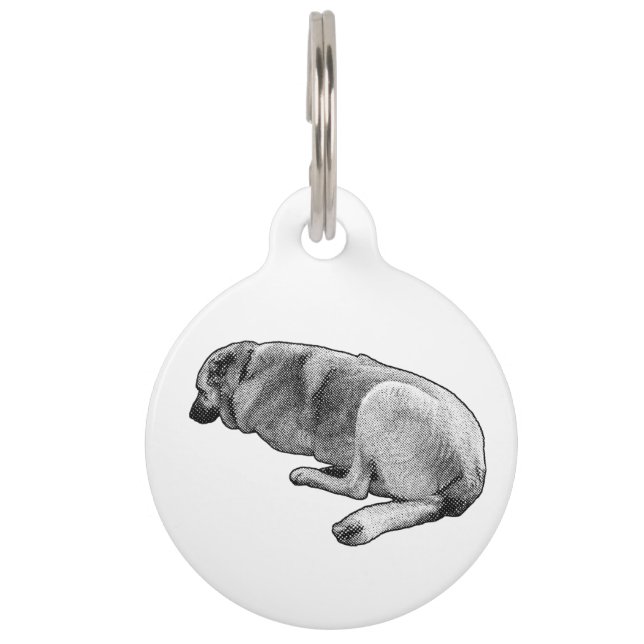 Placa Para Mascotas Known Even in Sleep (Anverso)