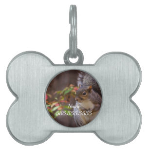 Placa Para Mascotas La ardilla inicia con paciencia la etiqueta de ide