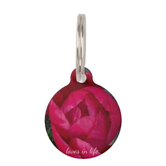 Placa Para Mascotas La bella y floreciente Peonia Roja (Anverso)