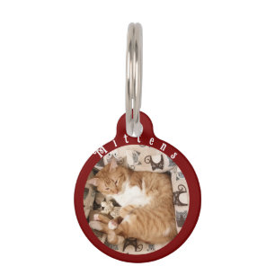 Placa Para Mascotas La mejor familia de gatos de todos los tiempos, fo