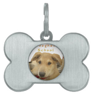 Placa Para Mascotas "La vida es la escuela más dura"