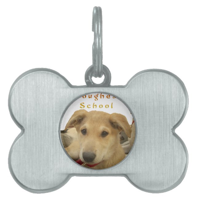 Placa Para Mascotas "La vida es la escuela más dura" (Frente)