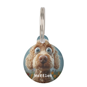 Placa Para Mascotas Labradoodle australiano de ojos grandes