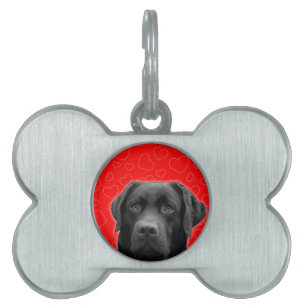 Placa Para Mascotas Labrador negro con corazones rojos