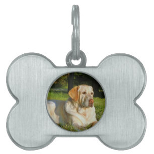 Placa Para Mascotas Labrador retriever amarillo