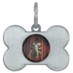 Placa Para Mascotas lagarto gris de madera desgastada