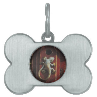 Placa Para Mascotas lagarto gris de madera desgastada