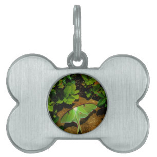 Placa Para Mascotas Lágrima luna verde gigante